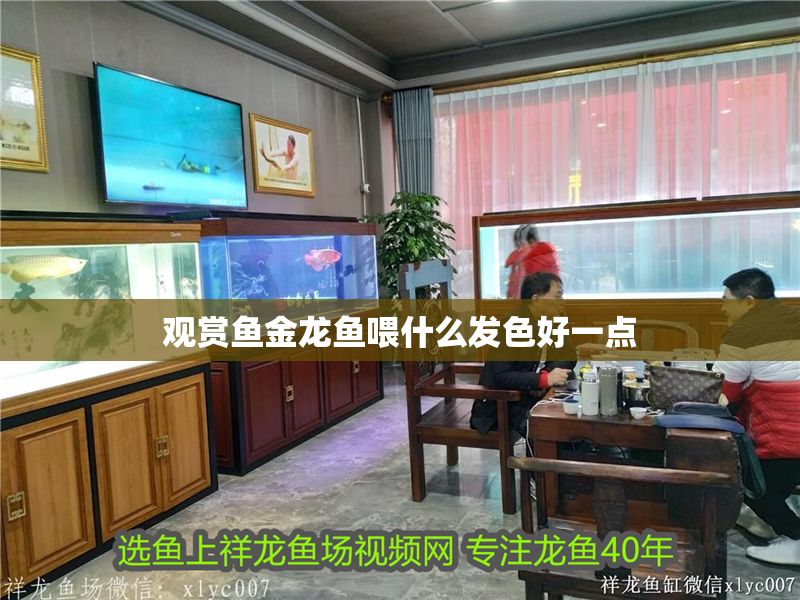觀賞魚金龍魚喂什么發色好一點 龍魚百科 第1張 觀賞魚金龍魚喂什么發色好一點 觀賞魚金龍魚喂什么發色好一點 龍魚百科 第1張