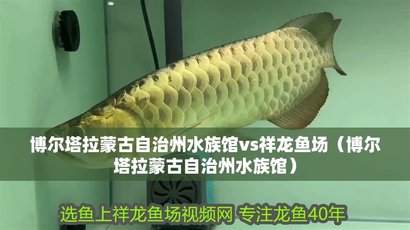 博爾塔拉蒙古自治州水族館vs祥龍魚場（博爾塔拉蒙古自治州水族館）
