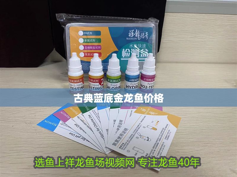 古典藍底金龍魚價格 古典藍底金龍魚價格 龍魚百科 第1張