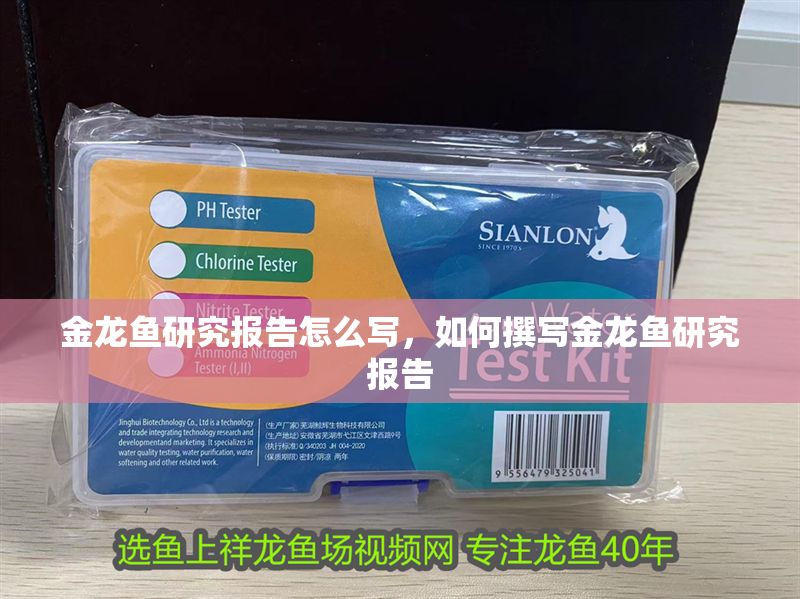 金龍魚研究報告怎么寫，如何撰寫金龍魚研究報告