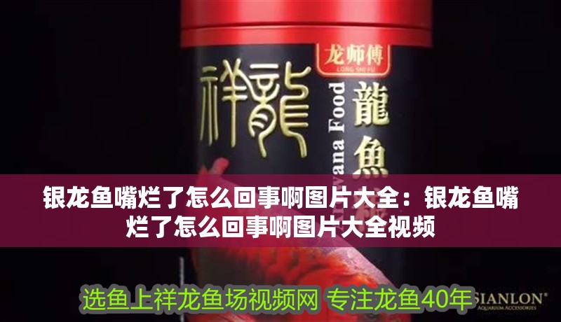 銀龍魚嘴爛了怎么回事啊圖片大全：銀龍魚嘴爛了怎么回事啊圖片大全視頻