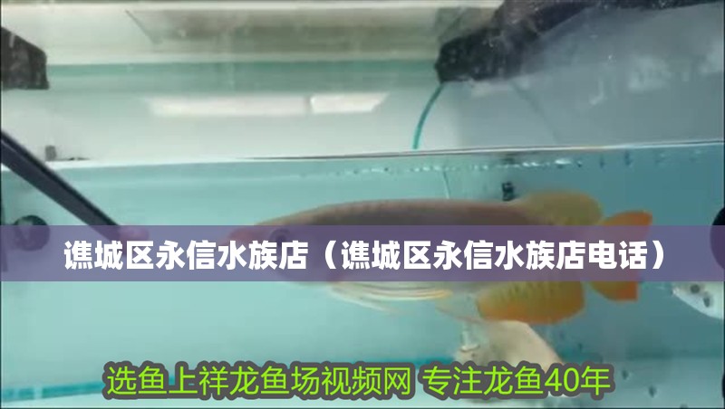譙城區永信水族店(譙城區永信水族店電話) 全國水族館企業名錄 第1張 譙城區永信水族店(譙城區永信水族店電話) 譙城區永信水族店(譙城區永信水族店電話) 全國水族館企業名錄 第1張