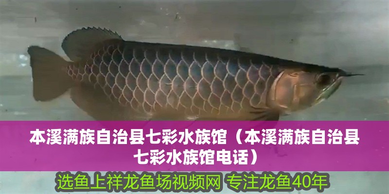 本溪滿族自治縣七彩水族館（本溪滿族自治縣七彩水族館電話） 本溪滿族自治縣七彩水族館（本溪滿族自治縣七彩水族館電話） 全國水族館企業名錄 第2張