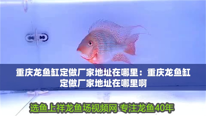 重慶龍魚缸定做廠家地址在哪里：重慶龍魚缸定做廠家地址在哪里啊
