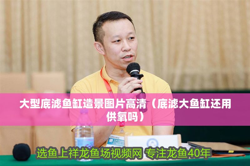 大型底濾魚缸造景圖片高清（底濾大魚缸還用供氧嗎）