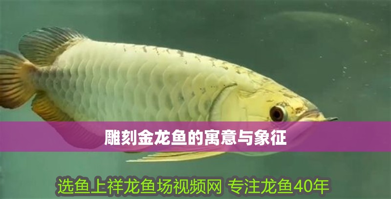 雕刻金龍魚的寓意與象征