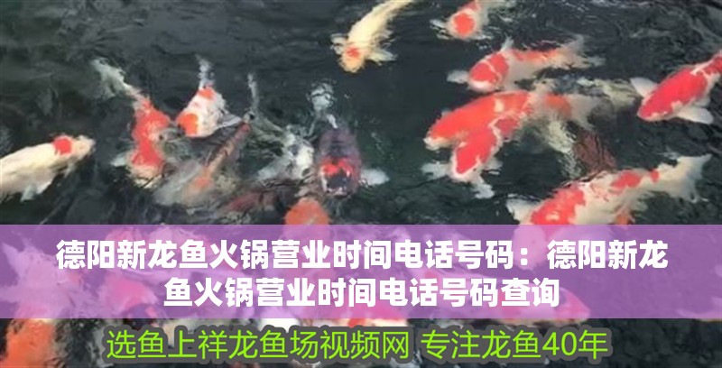 德陽新龍魚火鍋營業時間電話號碼：德陽新龍魚火鍋營業時間電話號碼查詢 德陽新龍魚火鍋營業時間電話號碼：德陽新龍魚火鍋營業時間電話號碼查詢 水族問答