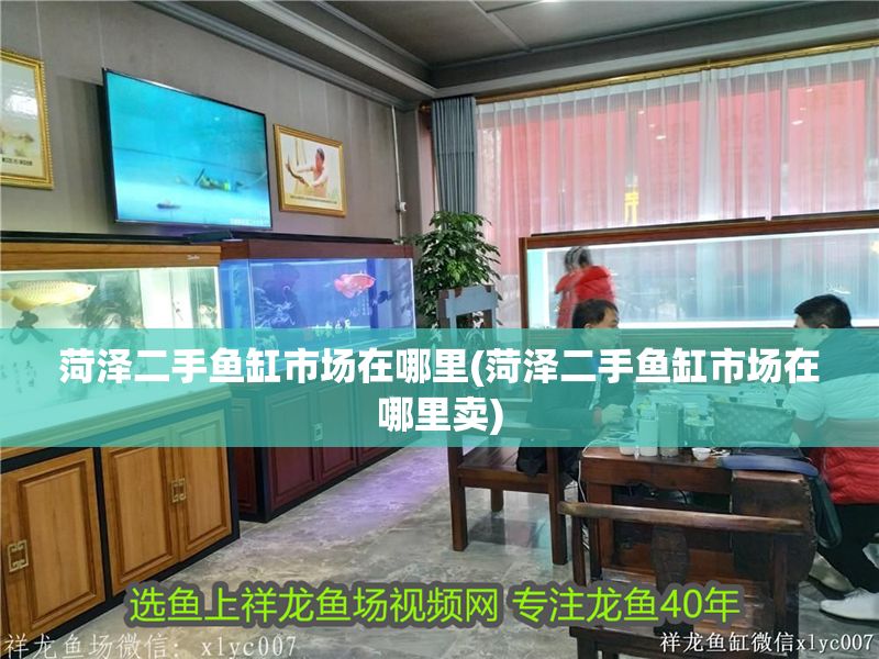 菏澤二手魚缸市場在哪里(菏澤二手魚缸市場在哪里賣)