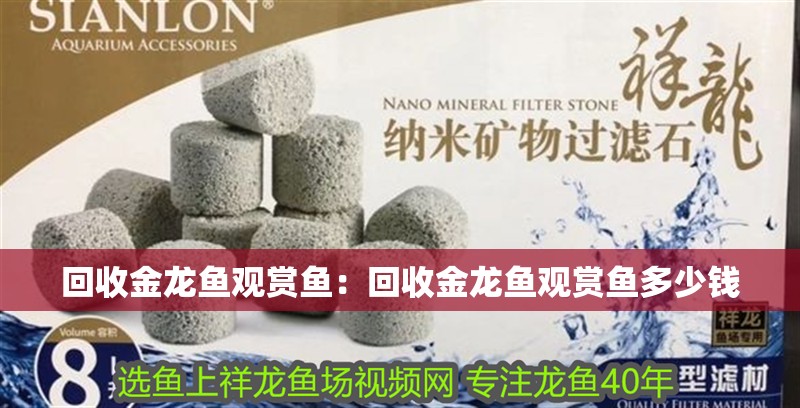 回收金龍魚觀賞魚：回收金龍魚觀賞魚多少錢 回收金龍魚觀賞魚：回收金龍魚觀賞魚多少錢 水族問答