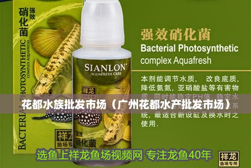 花都水族批發(fā)市場(chǎng)(廣州花都水產(chǎn)批發(fā)市場(chǎng)) 龍魚百科 第1張 花都水族批發(fā)市場(chǎng)(廣州花都水產(chǎn)批發(fā)市場(chǎng)) 花都水族批發(fā)市場(chǎng)(廣州花都水產(chǎn)批發(fā)市場(chǎng)) 龍魚百科 第1張