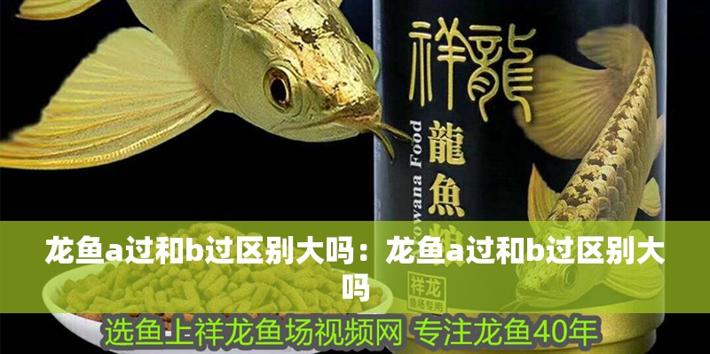 龍魚a過和b過區別大嗎：龍魚a過和b過區別大嗎
