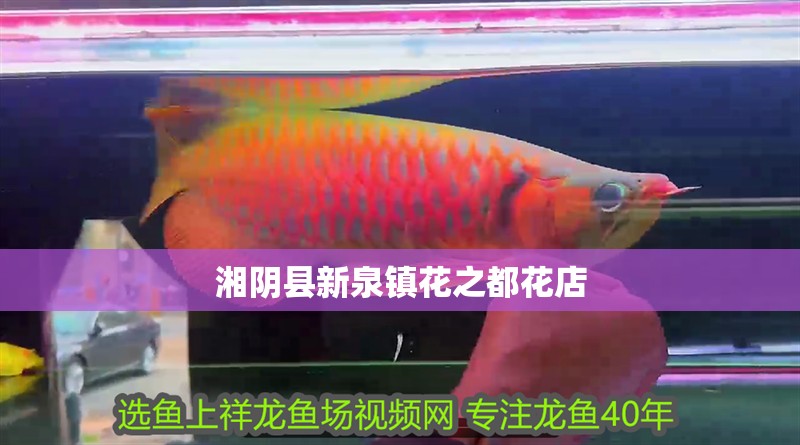 湘陰縣新泉鎮花之都花店