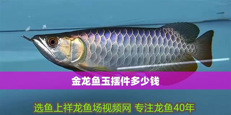 金龍魚玉擺件多少錢