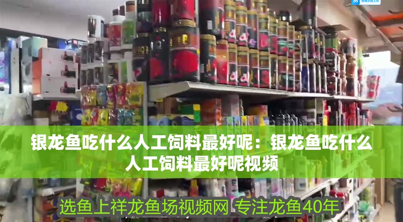 銀龍魚吃什么人工飼料最好呢：銀龍魚吃什么人工飼料最好呢視頻