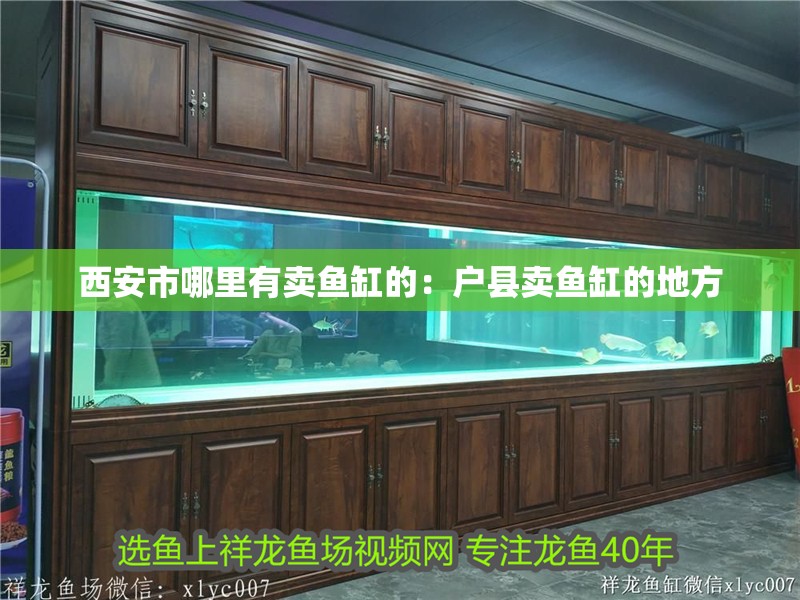 西安市哪里有賣魚缸的：戶縣賣魚缸的地方