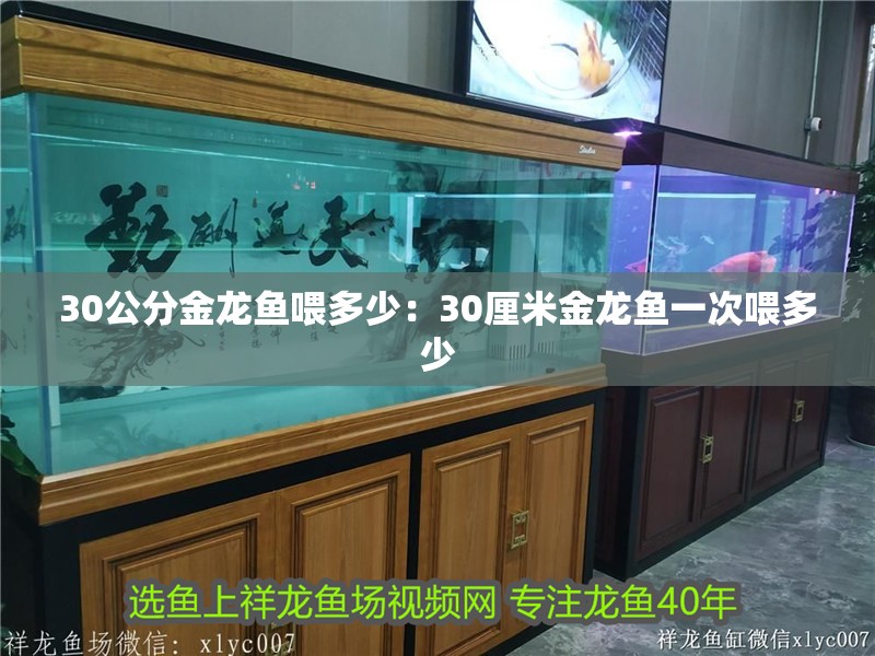 30公分金龍魚喂多少：30厘米金龍魚一次喂多少