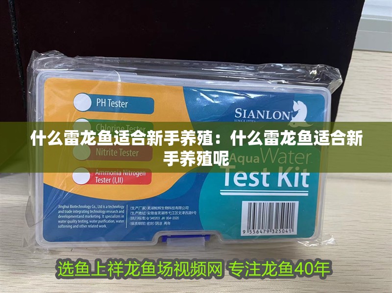 什么雷龍魚適合新手養殖：什么雷龍魚適合新手養殖呢