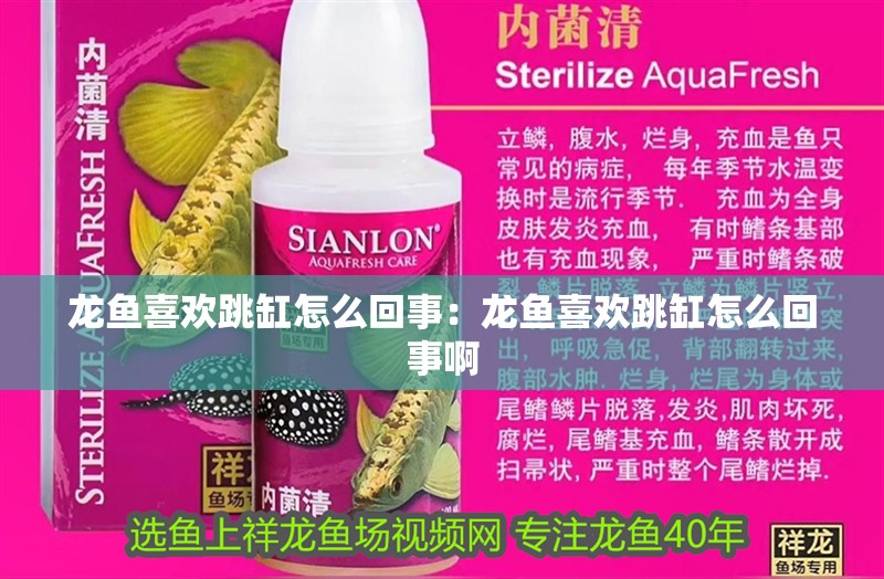 龍魚喜歡跳缸怎么回事：龍魚喜歡跳缸怎么回事啊 龍魚喜歡跳缸怎么回事：龍魚喜歡跳缸怎么回事啊 水族問答