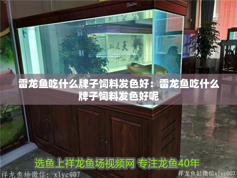 雷龍魚吃什么牌子飼料發(fā)色好：雷龍魚吃什么牌子飼料發(fā)色好呢