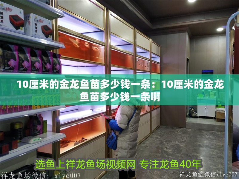 魚缸淺色背景適合養什么魚