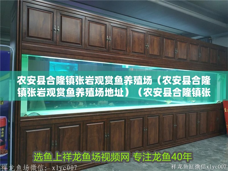 農安縣合隆鎮張巖觀賞魚養殖場（農安縣合隆鎮張巖觀賞魚養殖場地址）（農安縣合隆鎮張巖觀賞魚養殖場）