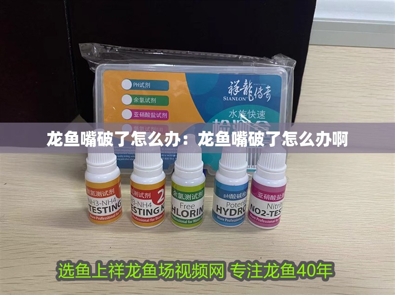 龍魚嘴破了怎么辦:龍魚嘴破了怎么辦啊 水族問答 龍魚嘴破了怎么辦:龍魚嘴破了怎么辦啊 龍魚嘴破了怎么辦:龍魚嘴破了怎么辦啊 水族問答
