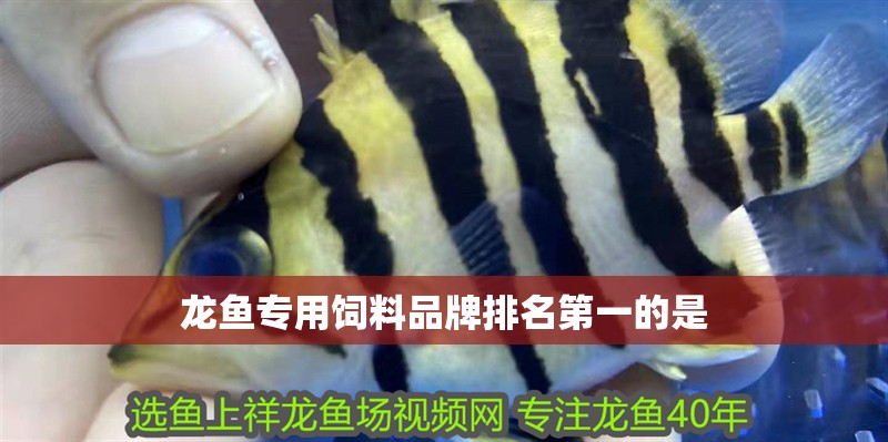 龍魚專用飼料品牌排名第一的是