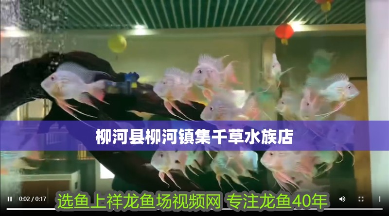 柳河縣柳河鎮集千草水族店 柳河縣柳河鎮集千草水族店 全國水族館企業名錄 第2張