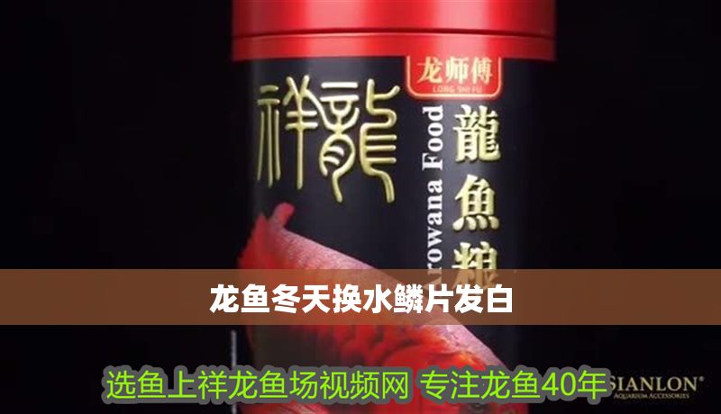 龍魚冬天換水鱗片發白