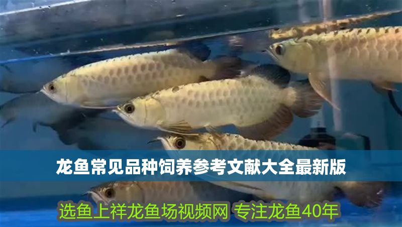 龍魚常見品種飼養(yǎng)參考文獻(xiàn)大全最新版