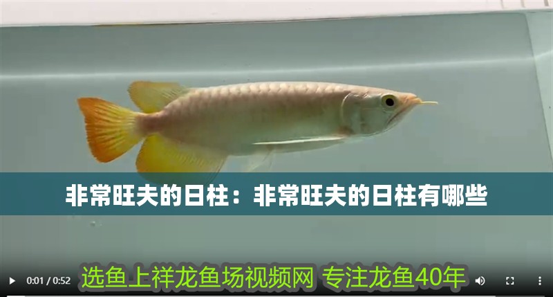 非常旺夫的日柱：非常旺夫的日柱有哪些
