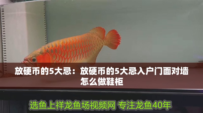 放硬幣的5大忌：放硬幣的5大忌入戶門面對墻怎么做鞋柜