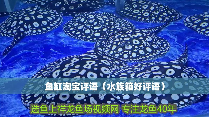 魚缸淘寶評語（水族箱好評語）