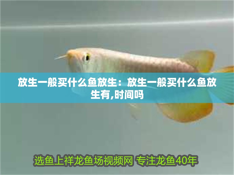 放生一般買什么魚放生：放生一般買什么魚放生有,時(shí)間嗎
