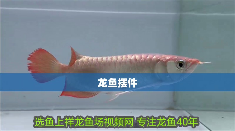 龍魚擺件