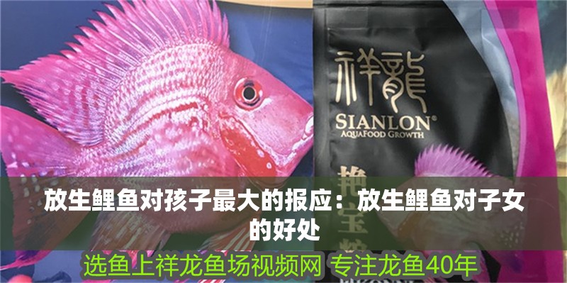 放生鯉魚對孩子最大的報應：放生鯉魚對子女的好處 放生鯉魚對孩子最大的報應：放生鯉魚對子女的好處 龍魚百科 第2張