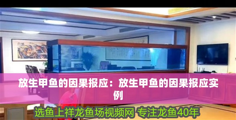 放生甲魚的因果報應：放生甲魚的因果報應實例