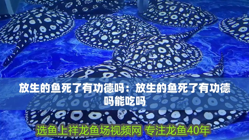 放生的魚死了有功德嗎：放生的魚死了有功德嗎能吃嗎