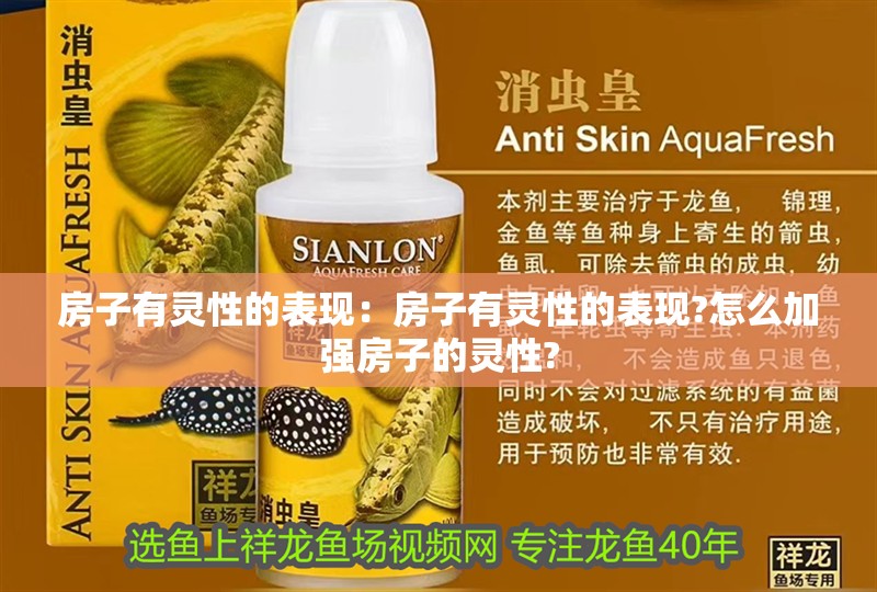 房子有靈性的表現：房子有靈性的表現?怎么加強房子的靈性?