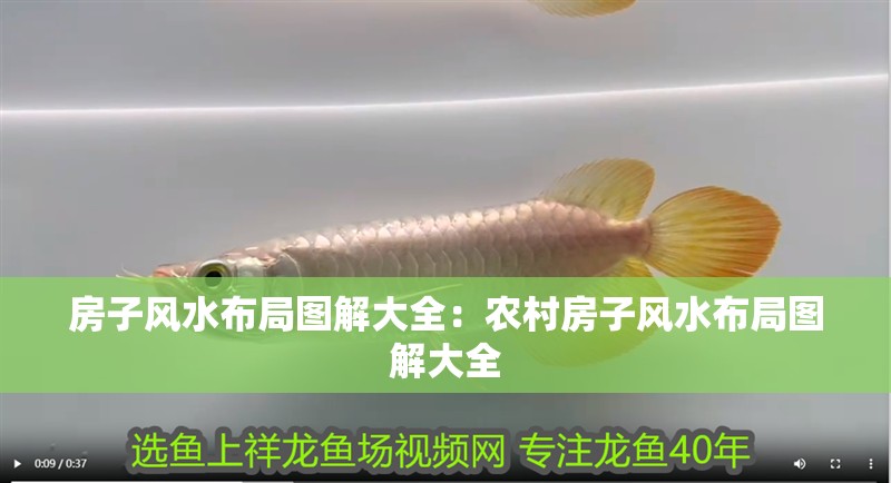 房子風(fēng)水布局圖解大全：農(nóng)村房子風(fēng)水布局圖解大全