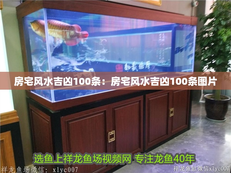 房宅風水吉兇100條：房宅風水吉兇100條圖片 房宅風水吉兇100條：房宅風水吉兇100條圖片 龍魚百科 第1張