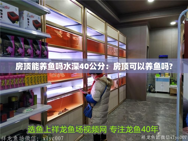 房頂能養(yǎng)魚嗎水深40公分：房頂可以養(yǎng)魚嗎?