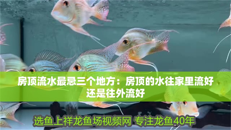 房頂流水最忌三個地方：房頂的水往家里流好還是往外流好