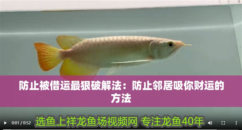 防止被借運最狠破解法：防止鄰居吸你財運的方法