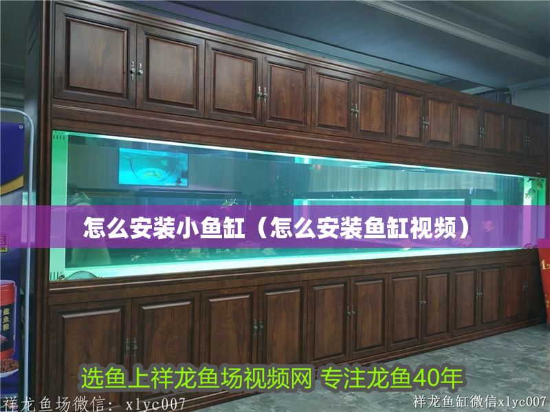 怎么安裝小魚缸（怎么安裝魚缸視頻） 怎么安裝小魚缸（怎么安裝魚缸視頻） 龍魚百科 第1張