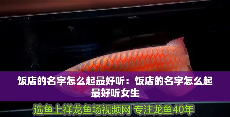 飯店的名字怎么起最好聽：飯店的名字怎么起最好聽女生