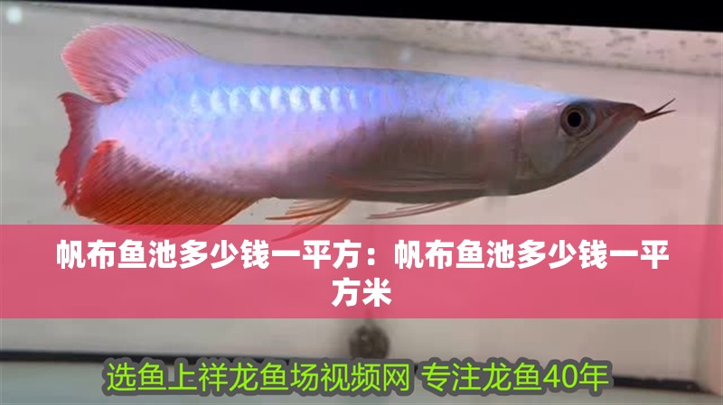 帆布魚池多少錢一平方:帆布魚池多少錢一平方米 龍魚百科 第1張 帆布魚池多少錢一平方:帆布魚池多少錢一平方米 帆布魚池多少錢一平方:帆布魚池多少錢一平方米 龍魚百科 第1張