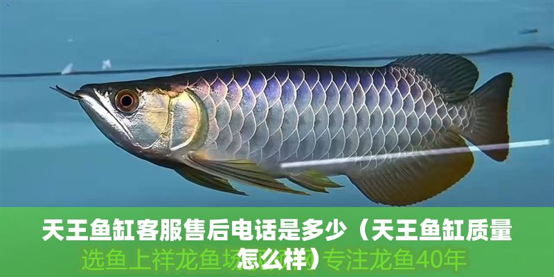 天王魚缸客服售后電話是多少（天王魚缸質量怎么樣）