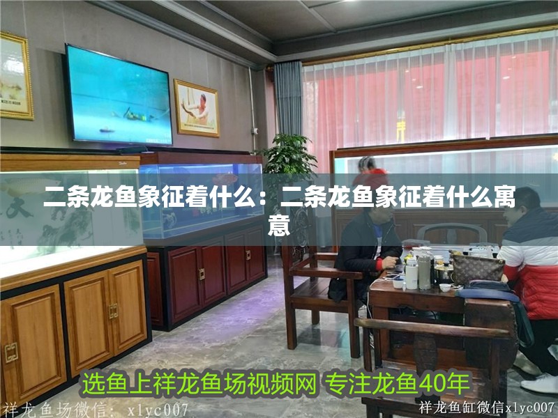 二條龍魚象征著什么：二條龍魚象征著什么寓意