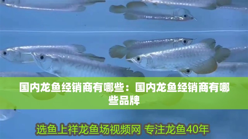 雙鴨山水族館vs祥龍魚場（雙鴨山水族館與祥龍魚場的主要區(qū)別）
